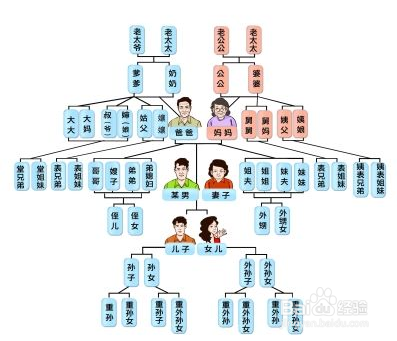 姨妈家的孙子怎么喊我