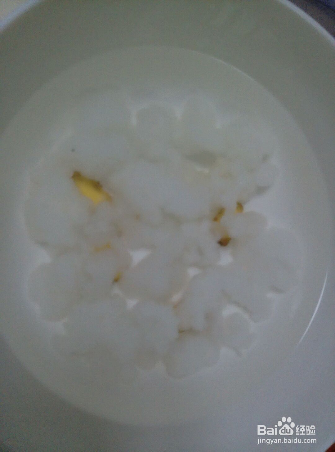 椰香木瓜炖雪蛤的做法