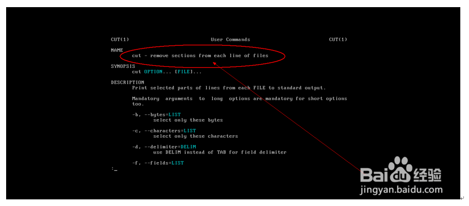 Linux之head、tail、grep、cut等命令详解