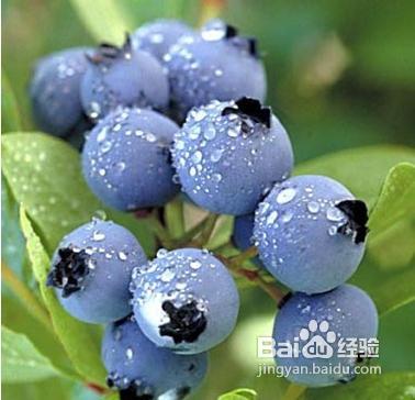 输卵管积水的治疗