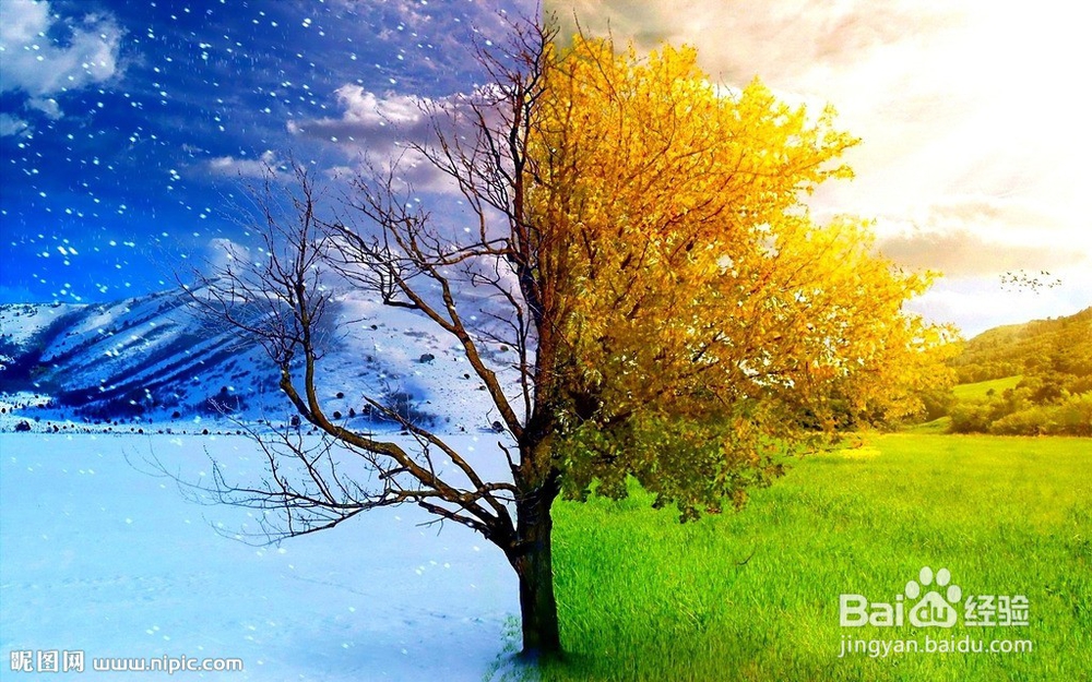 广告的生物钟规律