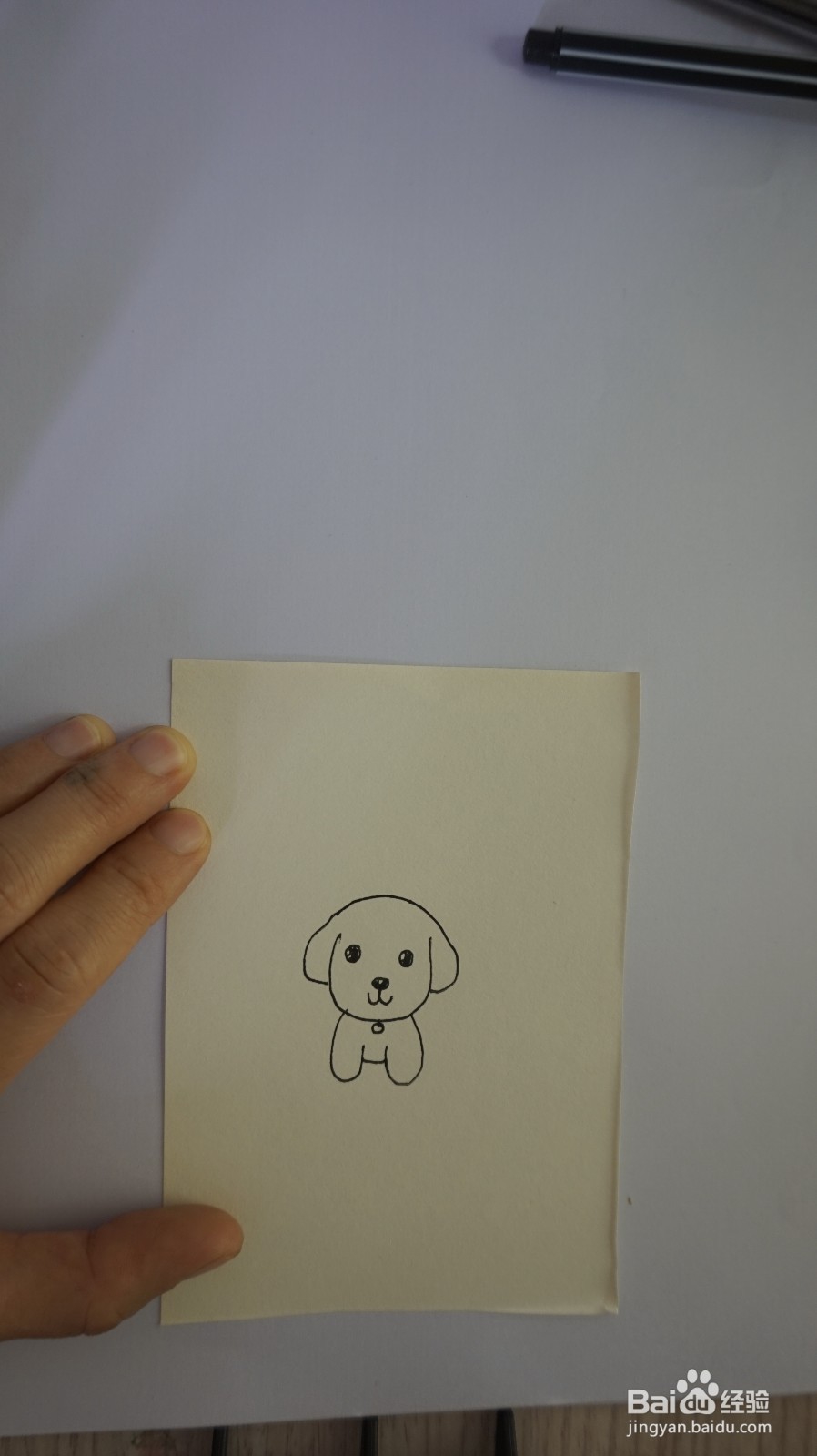 一起来画宠物狗的步骤