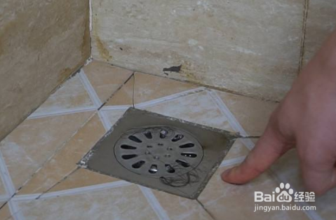 教你几个妙招清除卫生间小飞虫