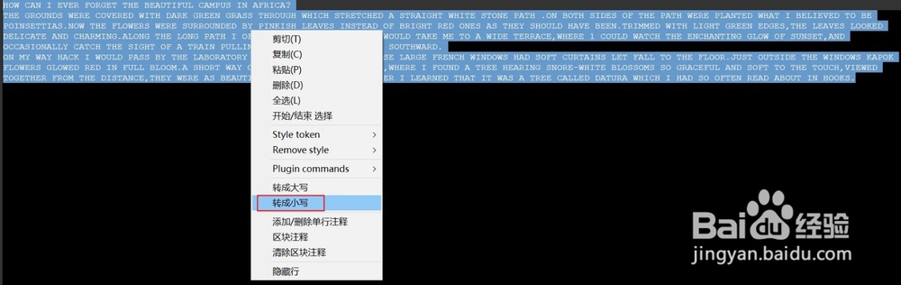 英文字母大小写转换方法