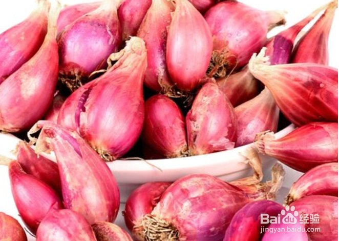 红葱头怎么留种来年再种