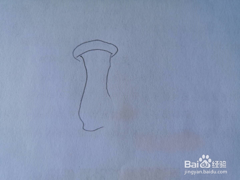 如何画杏鲍菇简笔画？