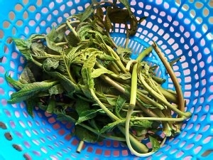 怎么做酱拌香椿皮蛋豆腐