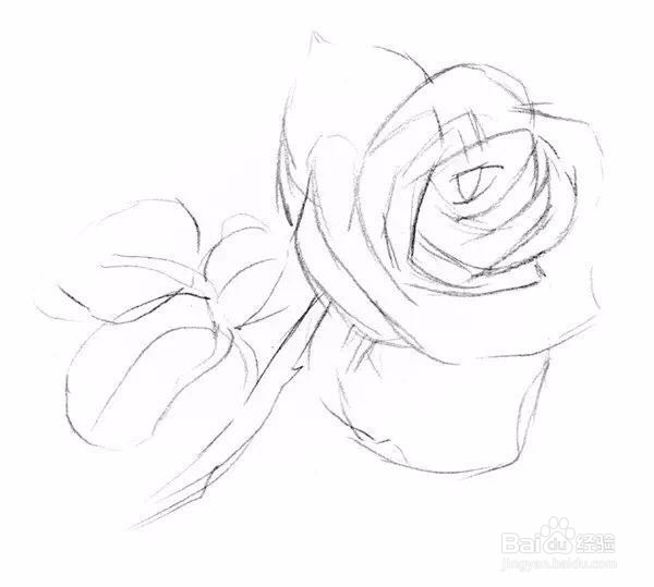 新手如何画一支玫瑰花