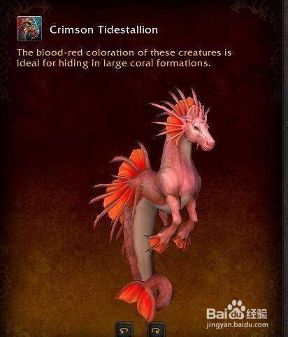 德鲁伊升级攻略