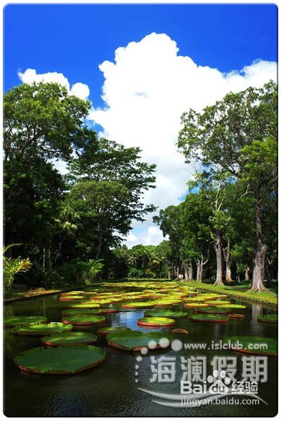 毛里求斯最佳的海岛游
