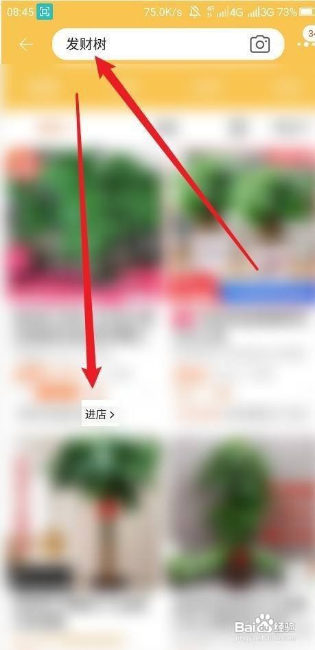 发财树被冻了如何补救