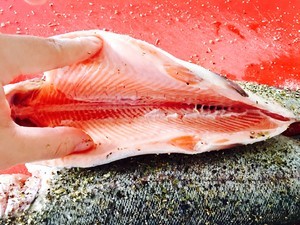 虹鳟鱼最佳食用方法