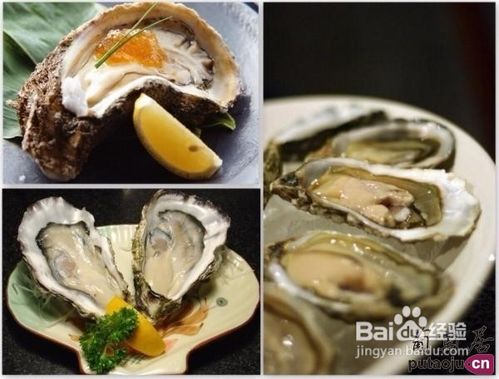 盘点“生蚝八大食法”