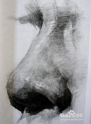 如何画好素描头像中的“鼻子”