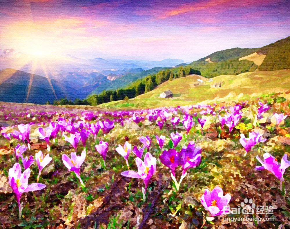 PS如何把普通照片变为油画效果？