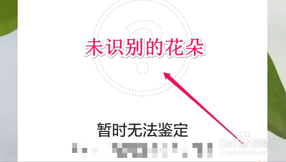 怎样使用识花小程序