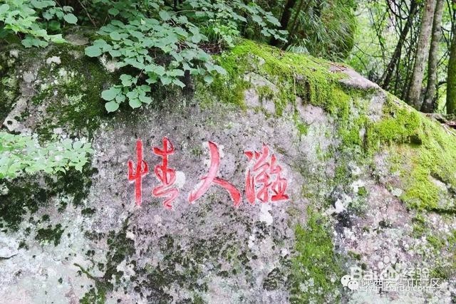 这才是云雾山游玩的正确方式