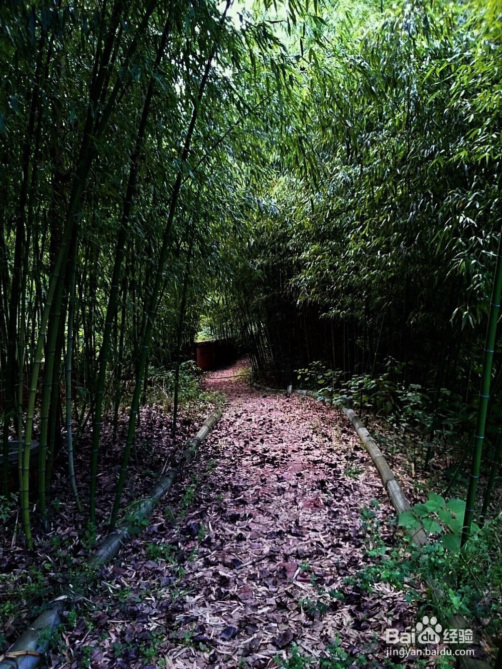 秋冬哪些地方景色好