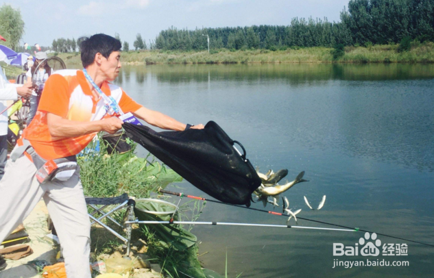 钓鱼哪个环结最重要？钓鱼饵料渔具线组窝料