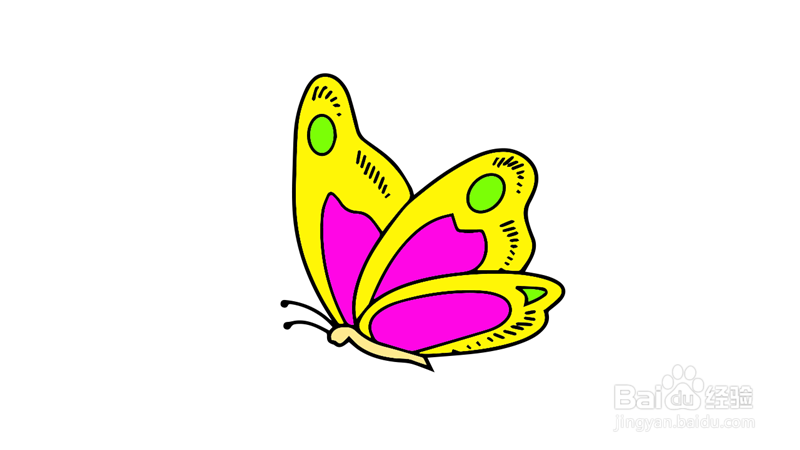 春天来了蝴蝶简笔画图片