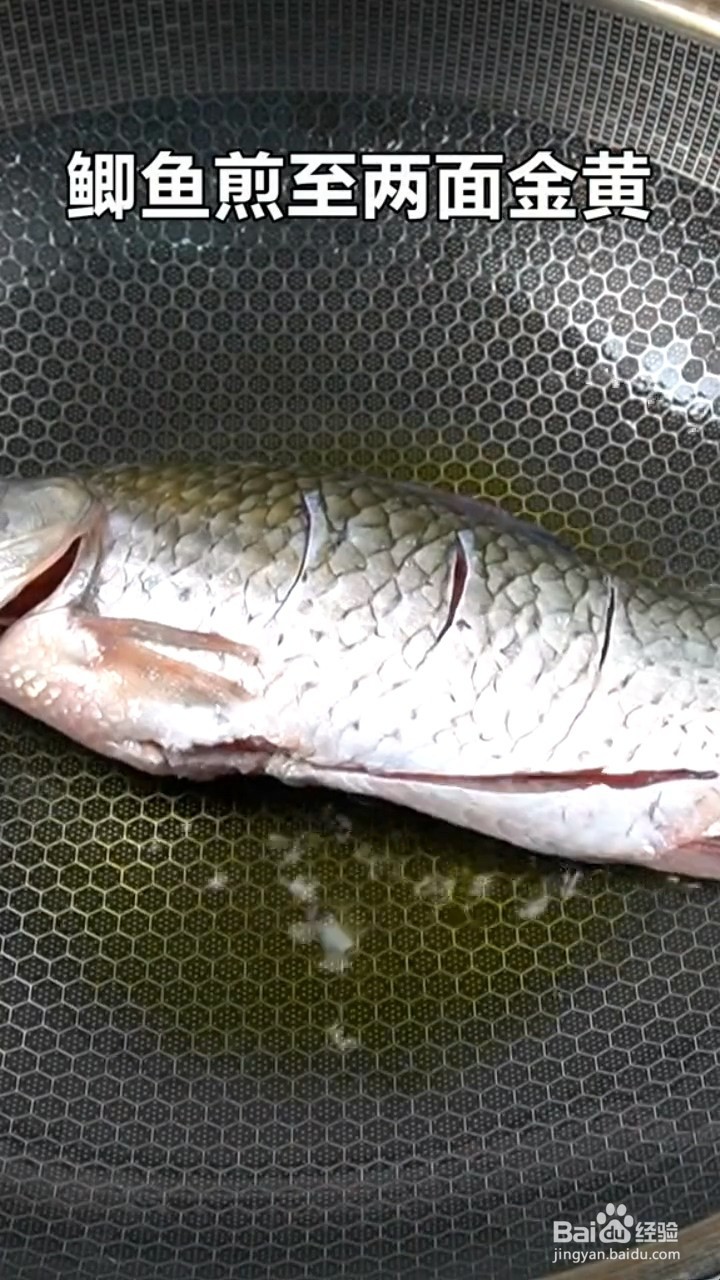 怎么做清炖羊肉