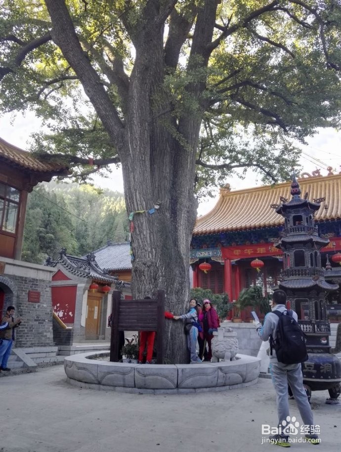 济南古刹 “淌豆寺” ——春游篇