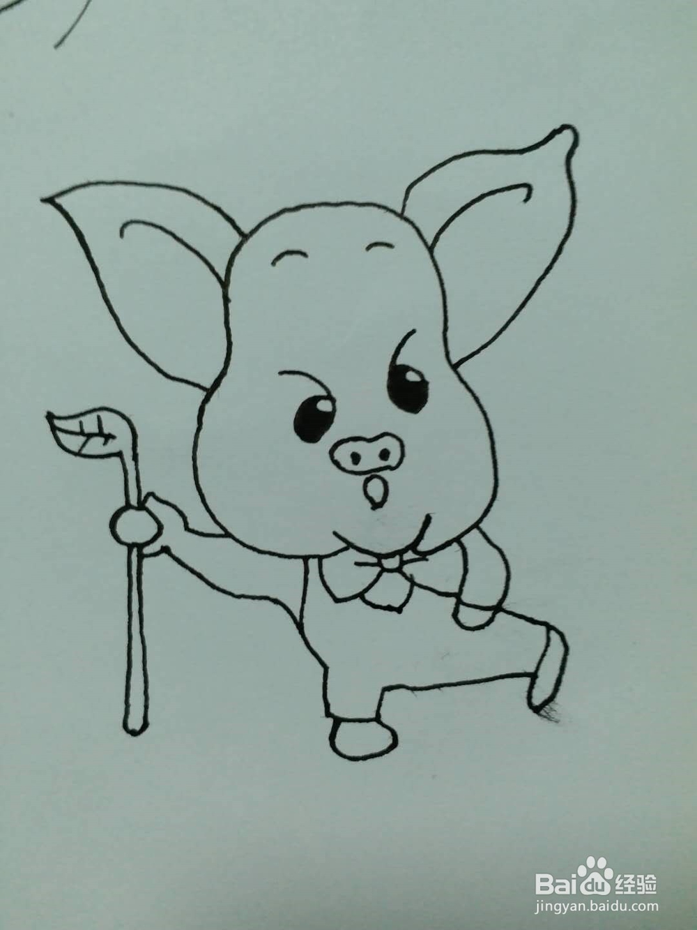 小猪的简笔画法