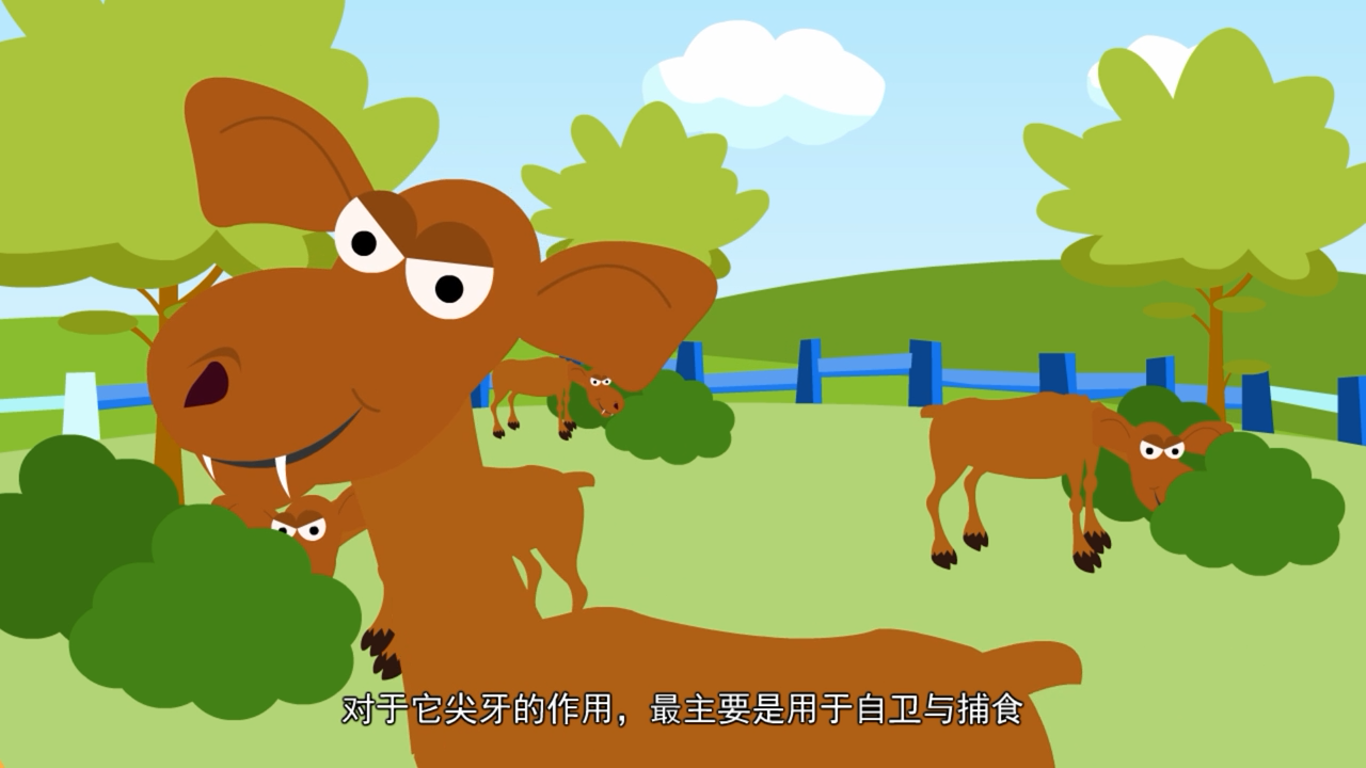 吸血鬼鹿的獠牙是用来吸血的吗