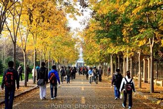 如何合理度过自己的大学四年时光