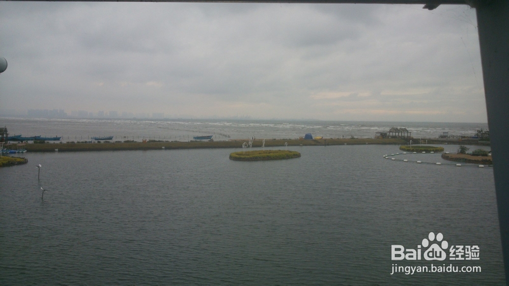 大学如何管理自己