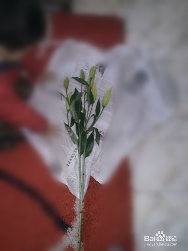 #过年#在家怎样插花