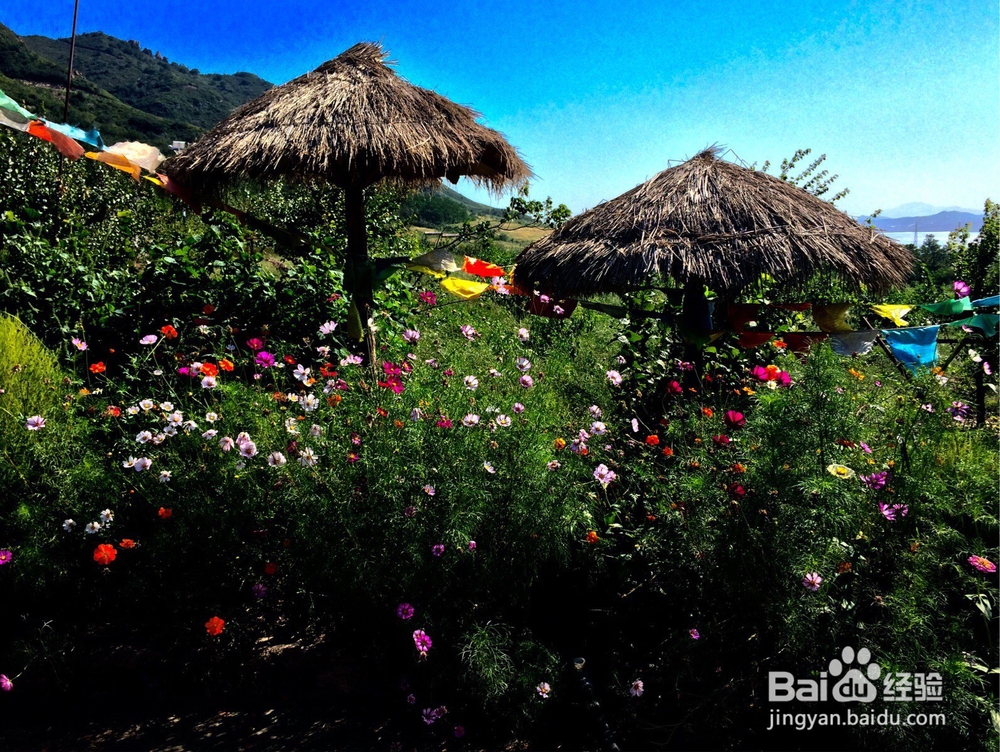 辽金古城--再现锦州辽金时期尘封的记忆