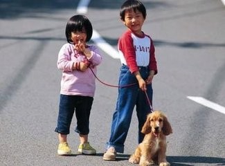 如何养育宠物