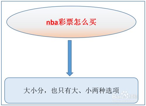 nba彩票怎么买