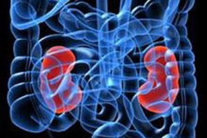 肾脏的先兆表现有哪些二