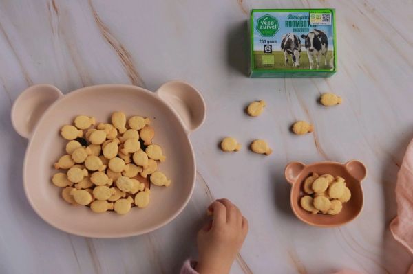 可爱小鱼奶酪饼干