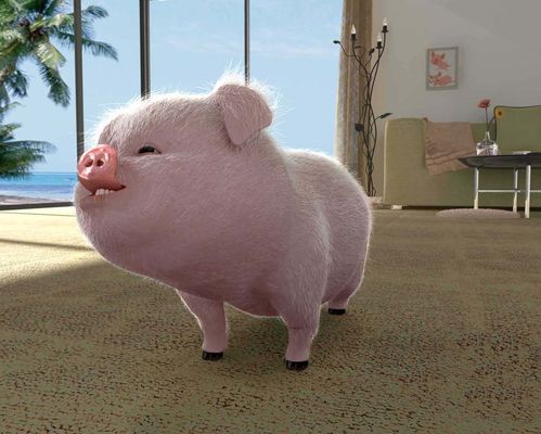 怎样在ppt制作动画详细全攻略