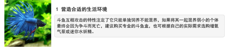 泰国斗鱼日常饲养养护教程