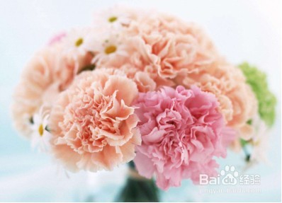 三八妇女节，男士送礼攻略