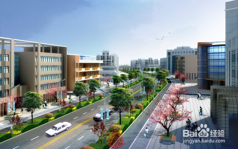 动画和拍摄视频一样吗？