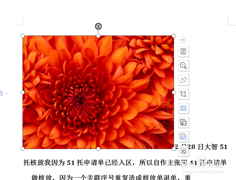 wps怎么插入图片