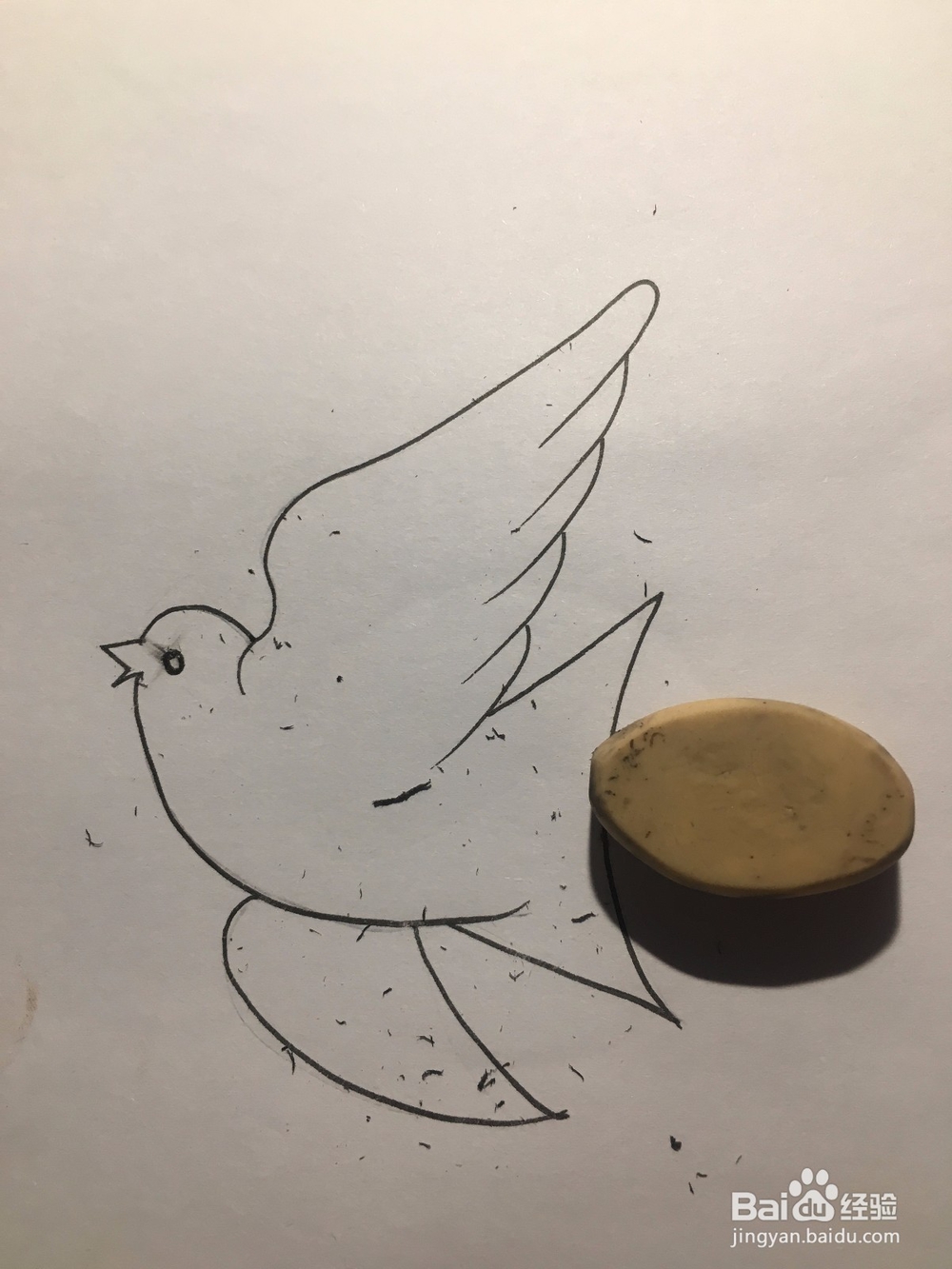 儿童美术 鸽子简笔画 鸽子涂鸦画