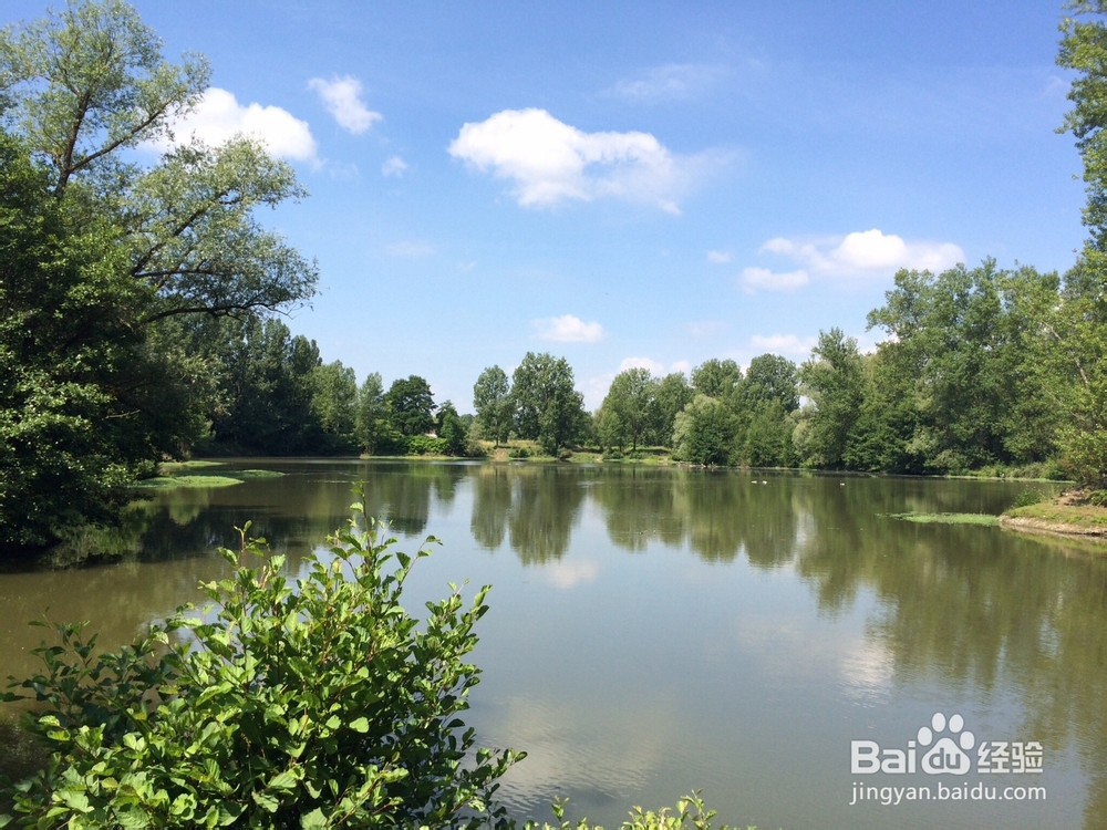 法国旅游交通工具选择