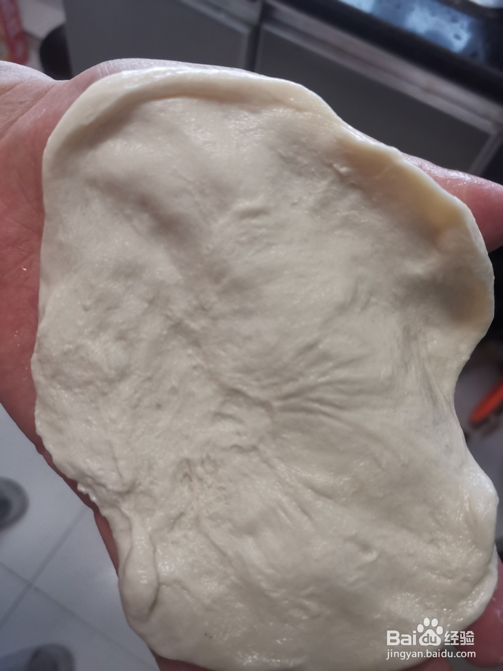 猪肉小葱馅饼