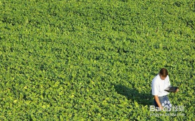 如何发展壮大农业产业