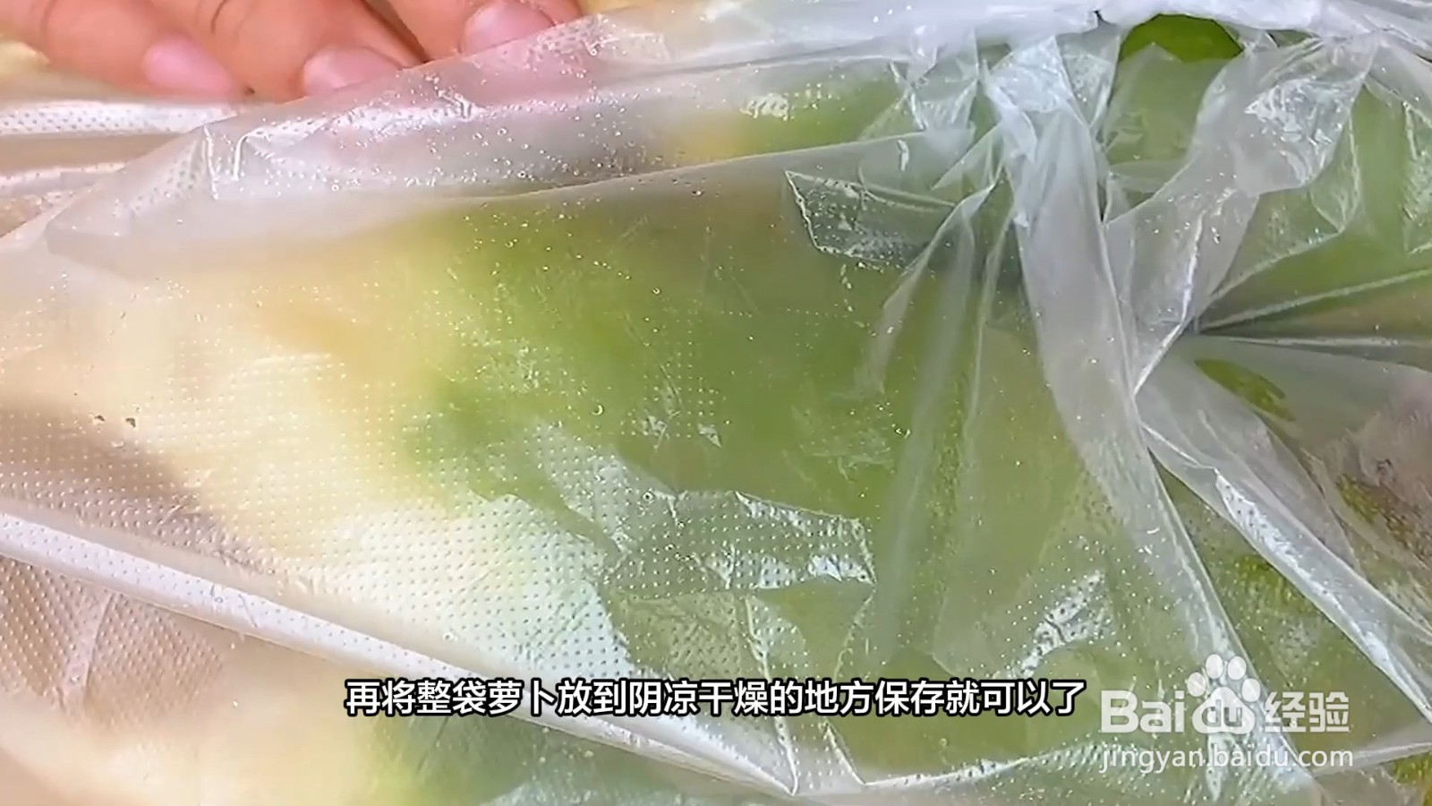 萝卜怎么保存时间长还新鲜