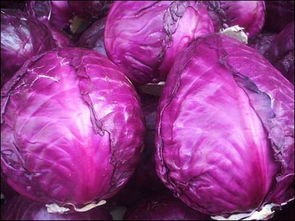 如何让自己的宝宝变得越来越聪明呢？