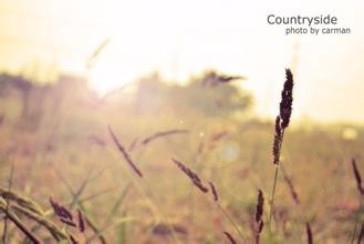 无聊时可以做哪些事情