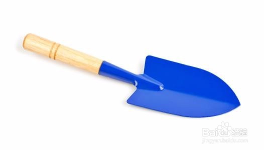 养花的工具有哪些