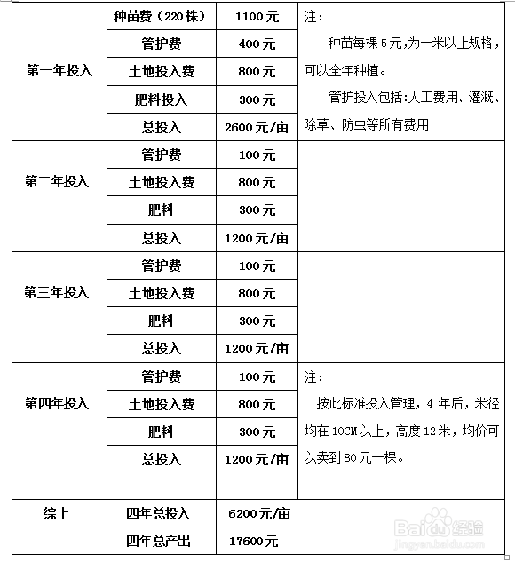 种什么树长的最快